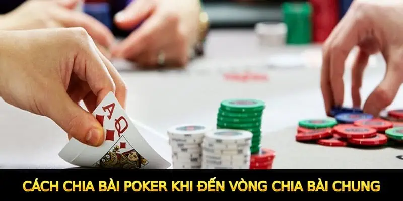 Cách chia bài Poker khi đến vòng chia bài chung